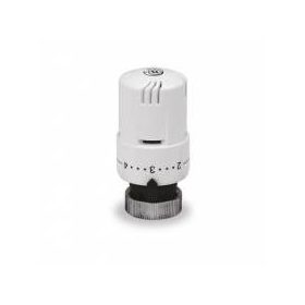 termosztatikus fej (M30x1,5) T116  /T100/